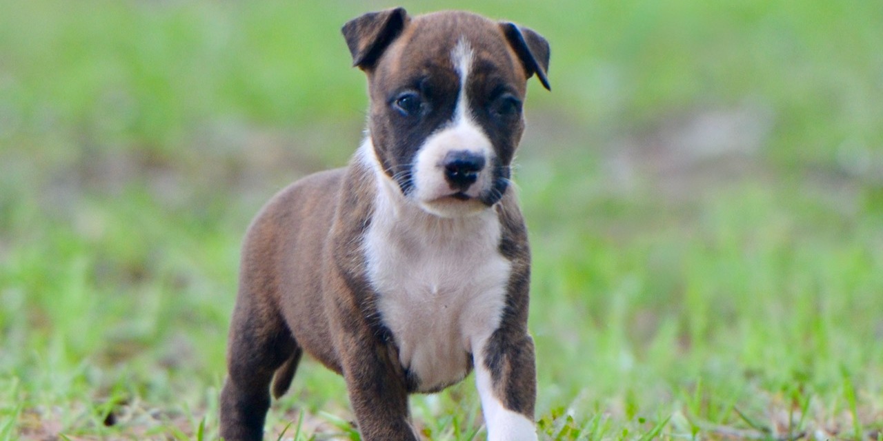 9 weeks